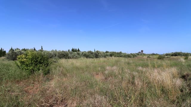 Undeveloped Land for sale in Alcanar - € 38,000 (Ref: 9001624)