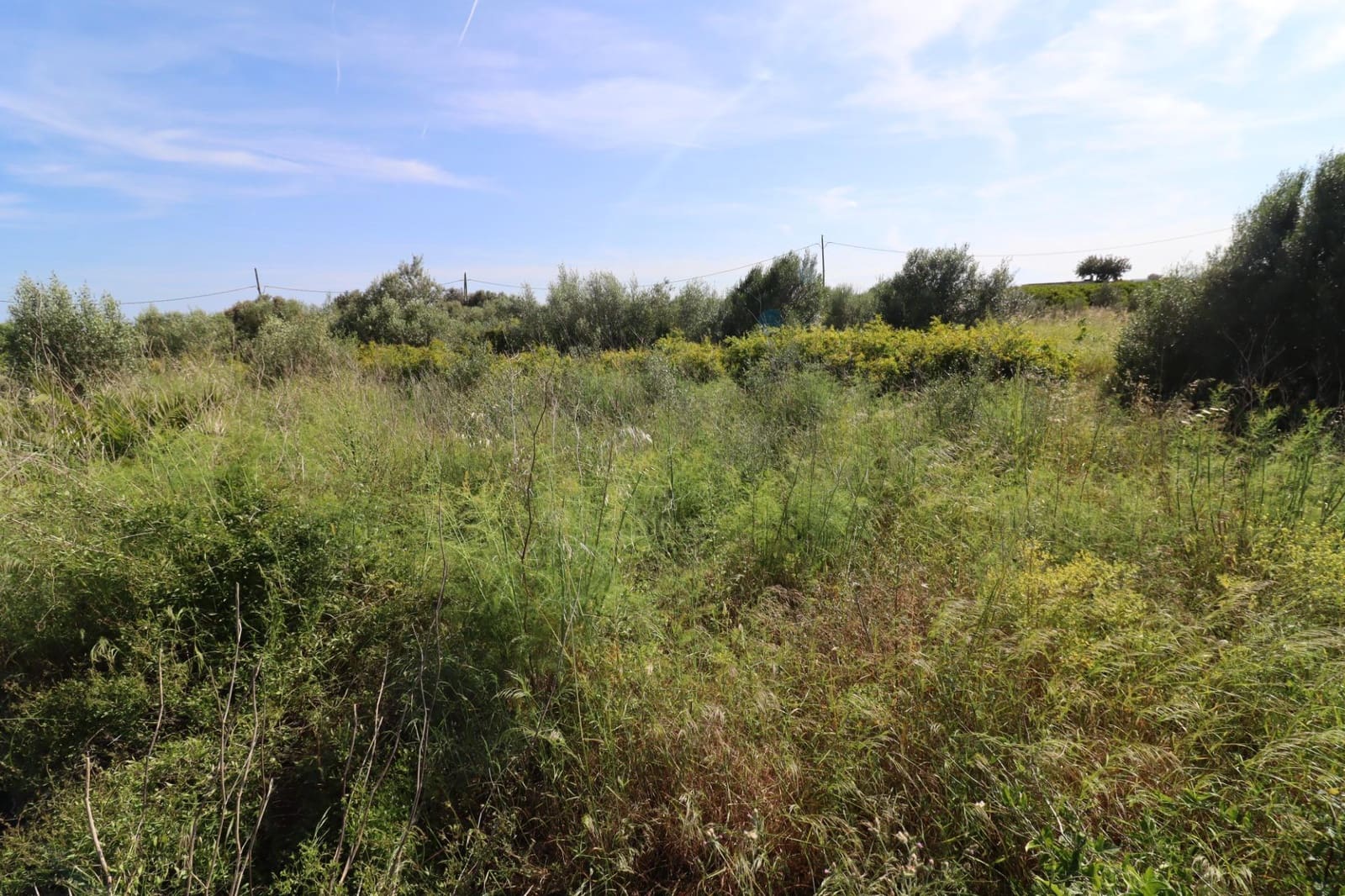 Grunde uden byggetilladelser til salg i Alcanar - € 38.000 (Ref: 9001624)