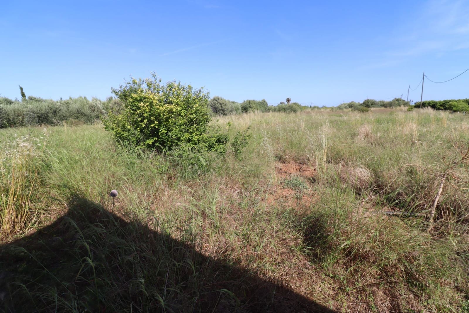 Grunde uden byggetilladelser til salg i Alcanar - € 38.000 (Ref: 9001624)