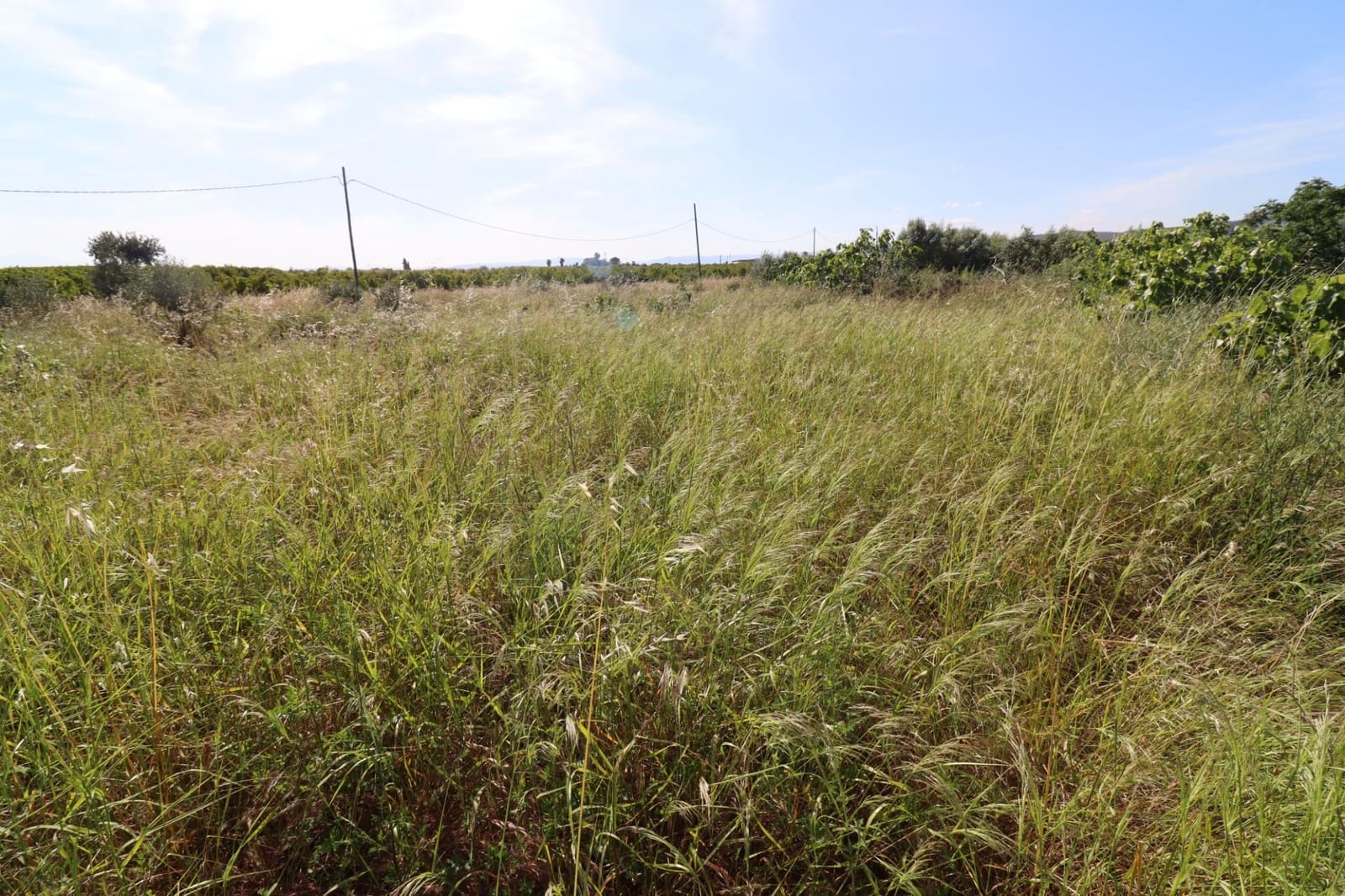 Grunde uden byggetilladelser til salg i Alcanar - € 38.000 (Ref: 9001624)