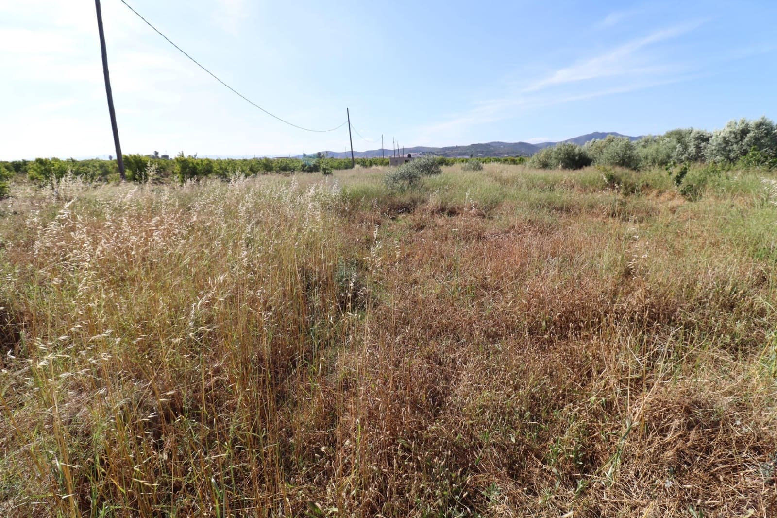 Grunde uden byggetilladelser til salg i Alcanar - € 38.000 (Ref: 9001624)