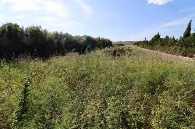 Undeveloped Land for sale in Alcanar - € 38,000 (Ref: 9001624)