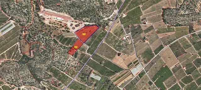 Undeveloped Land for sale in Alcanar - € 75,000 (Ref: 9001625)