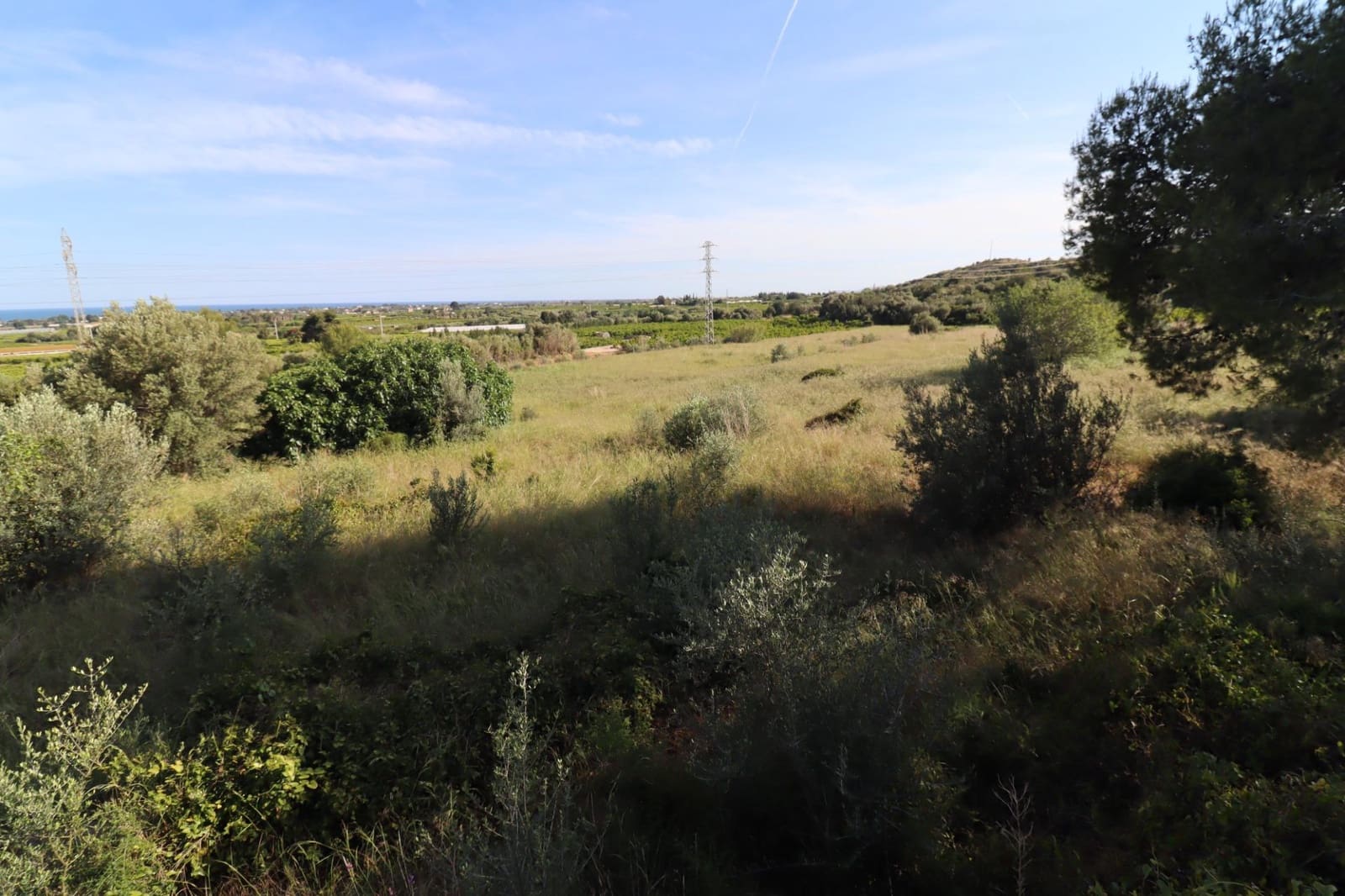 Grunde uden byggetilladelser til salg i Alcanar - € 75.000 (Ref: 9001625)