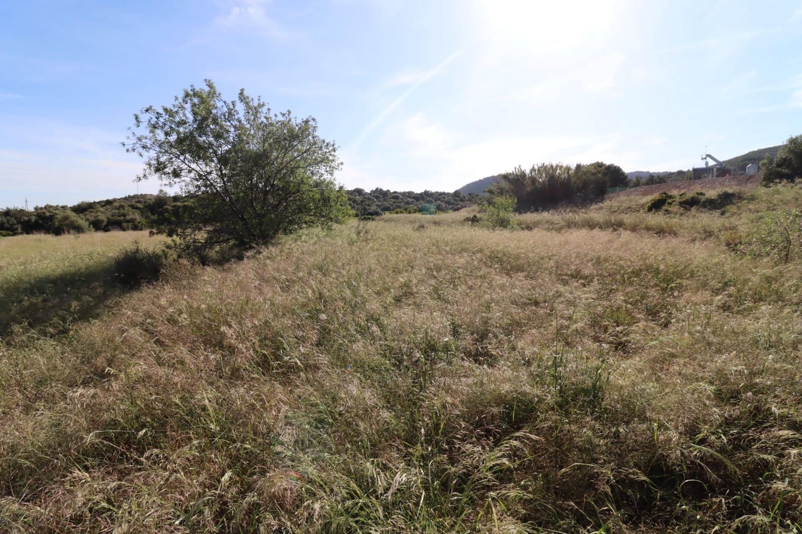 Grunde uden byggetilladelser til salg i Alcanar - € 75.000 (Ref: 9001625)