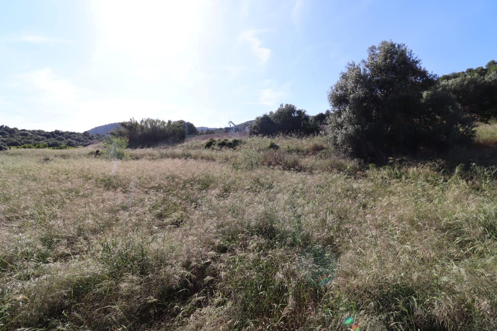 Grunde uden byggetilladelser til salg i Alcanar - € 75.000 (Ref: 9001625)