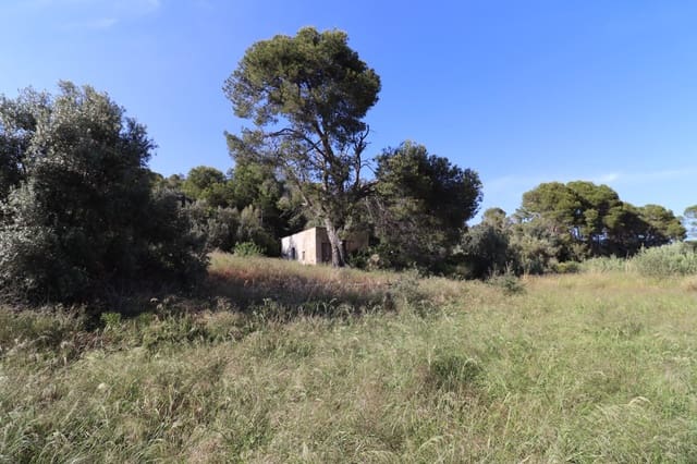 Undeveloped Land for sale in Alcanar - € 75,000 (Ref: 9001625)