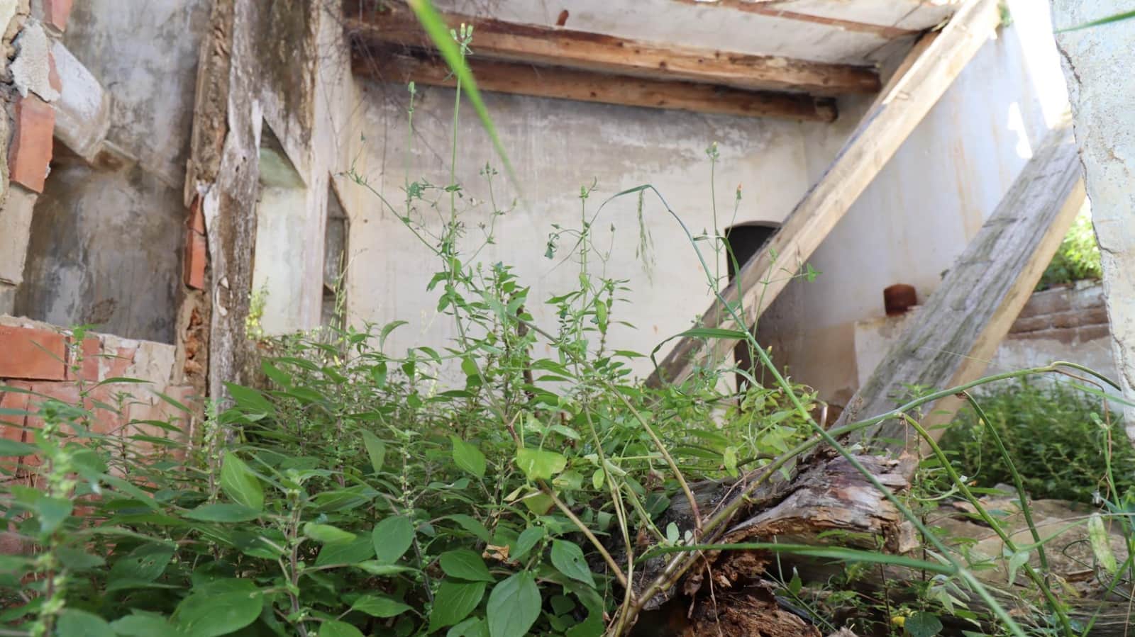 Grunde uden byggetilladelser til salg i Alcanar - € 75.000 (Ref: 9001625)