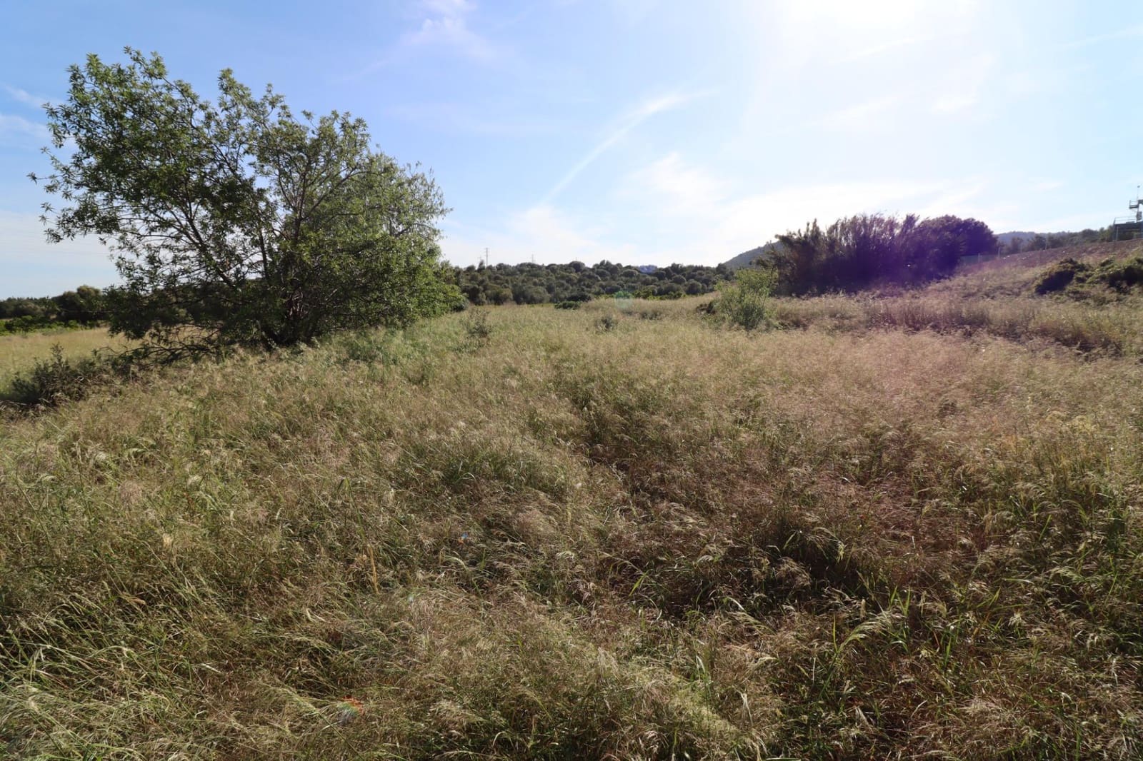 Grunde uden byggetilladelser til salg i Alcanar - € 75.000 (Ref: 9001625)