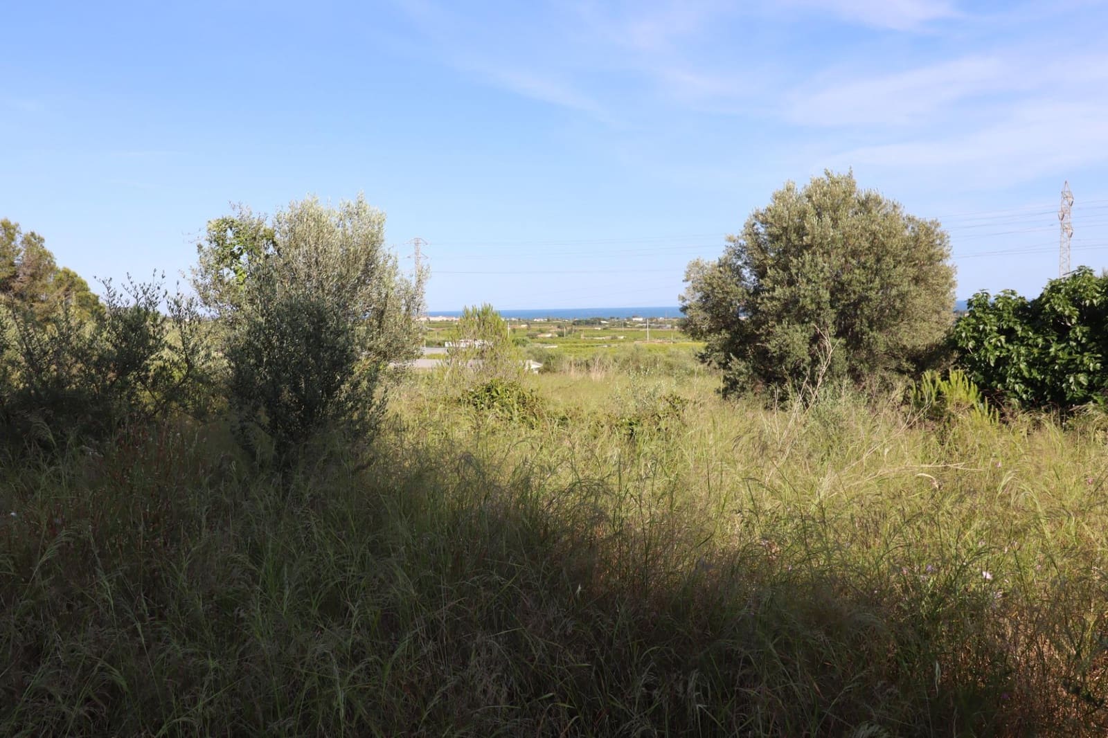 Grunde uden byggetilladelser til salg i Alcanar - € 75.000 (Ref: 9001625)