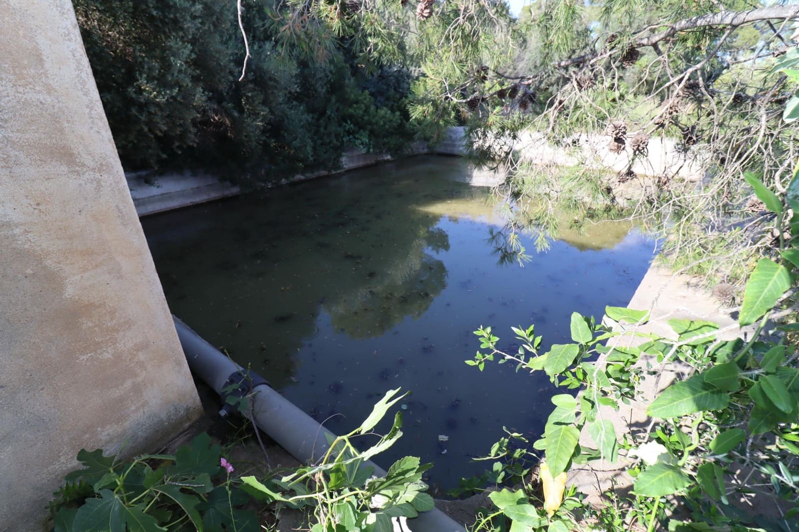 Grunde uden byggetilladelser til salg i Alcanar - € 75.000 (Ref: 9001625)