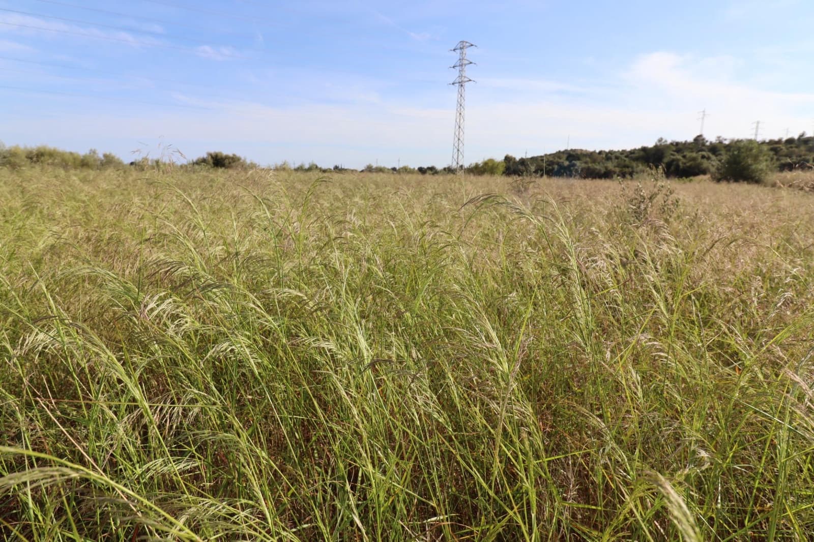 Grunde uden byggetilladelser til salg i Alcanar - € 75.000 (Ref: 9001625)