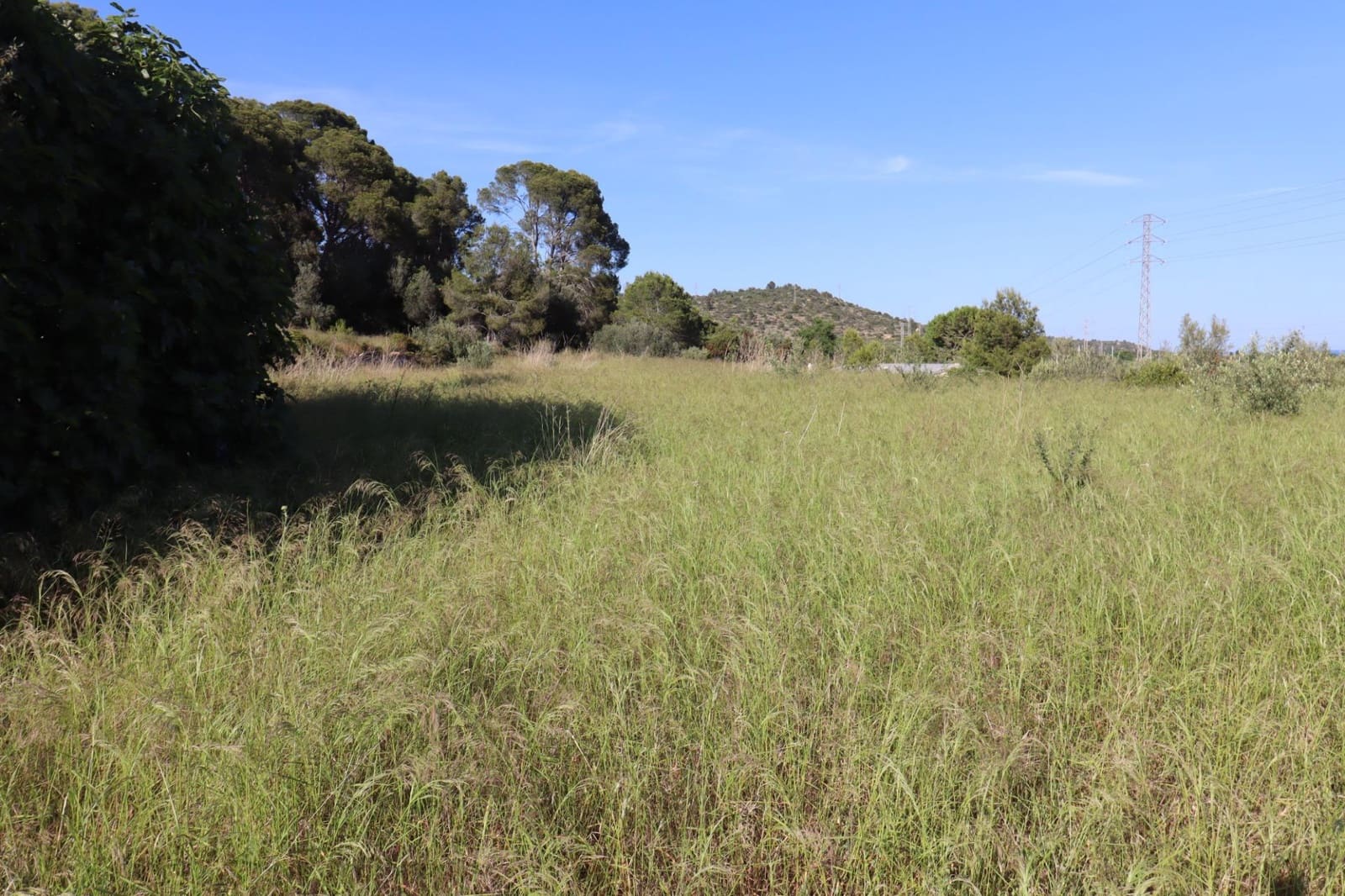 Grunde uden byggetilladelser til salg i Alcanar - € 75.000 (Ref: 9001625)