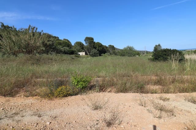 Undeveloped Land for sale in Alcanar - € 75,000 (Ref: 9001625)