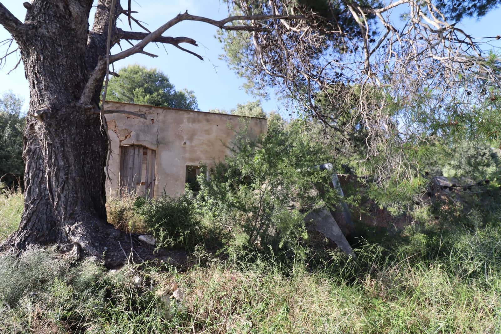 Grunde uden byggetilladelser til salg i Alcanar - € 75.000 (Ref: 9001625)