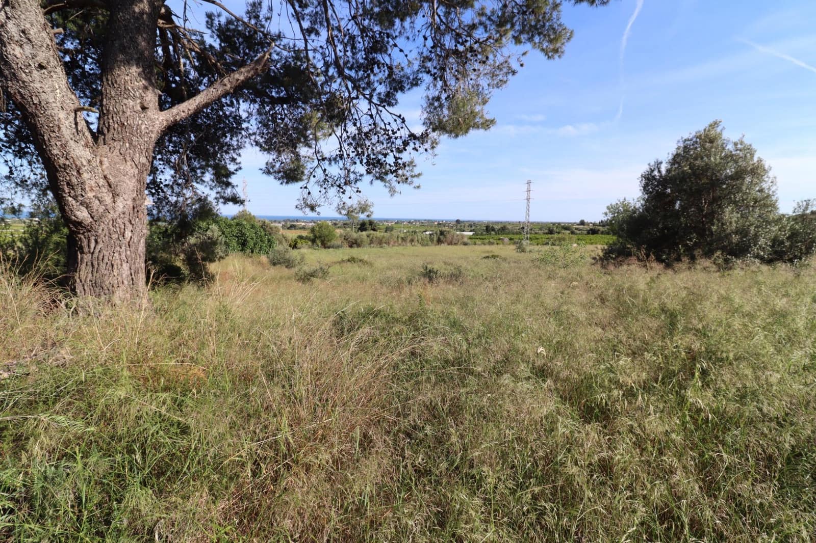 Grunde uden byggetilladelser til salg i Alcanar - € 75.000 (Ref: 9001625)