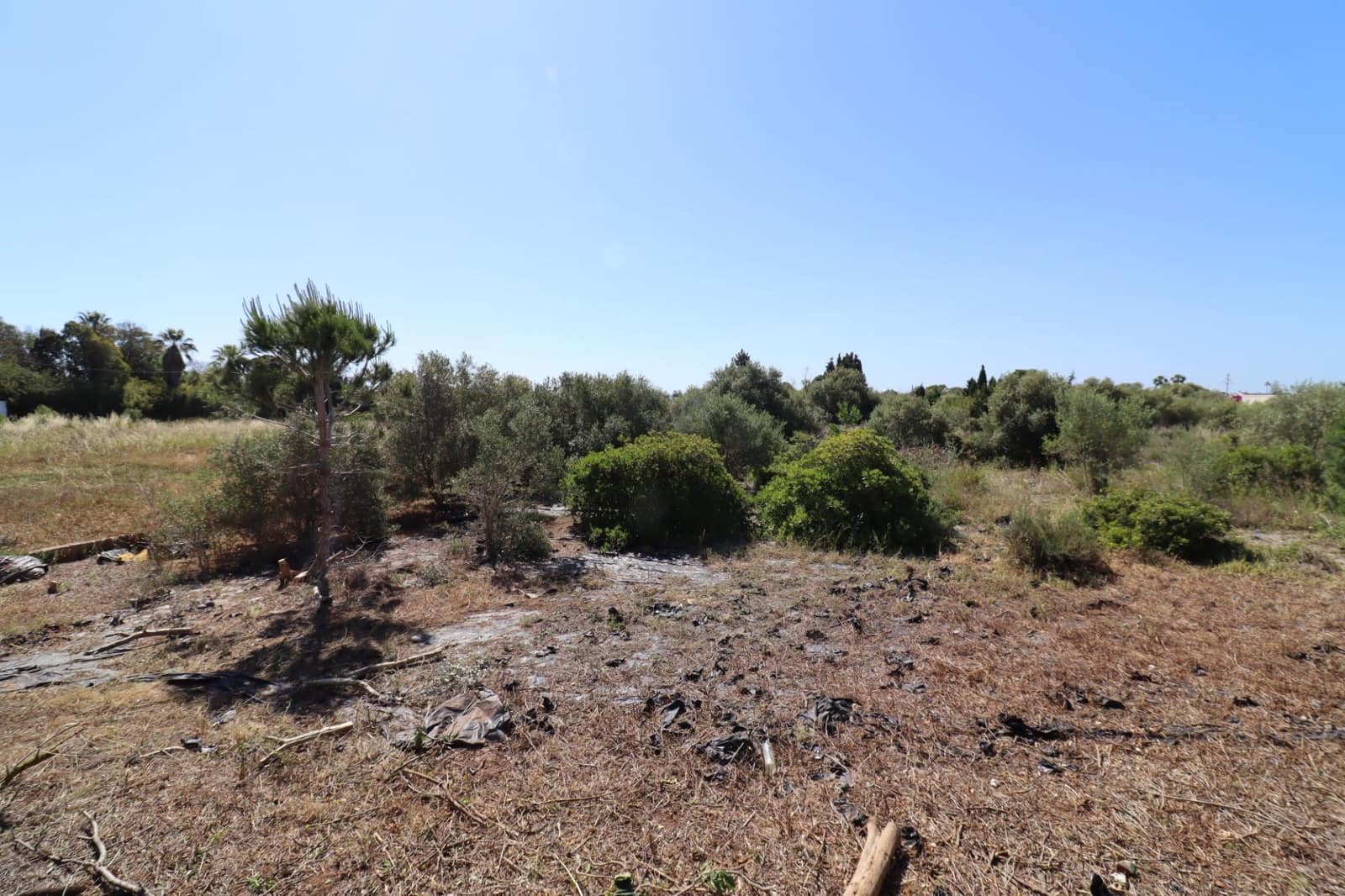 Grunde uden byggetilladelser til salg i Les Cases d'Alcanar - € 148.500 (Ref: 9001626)