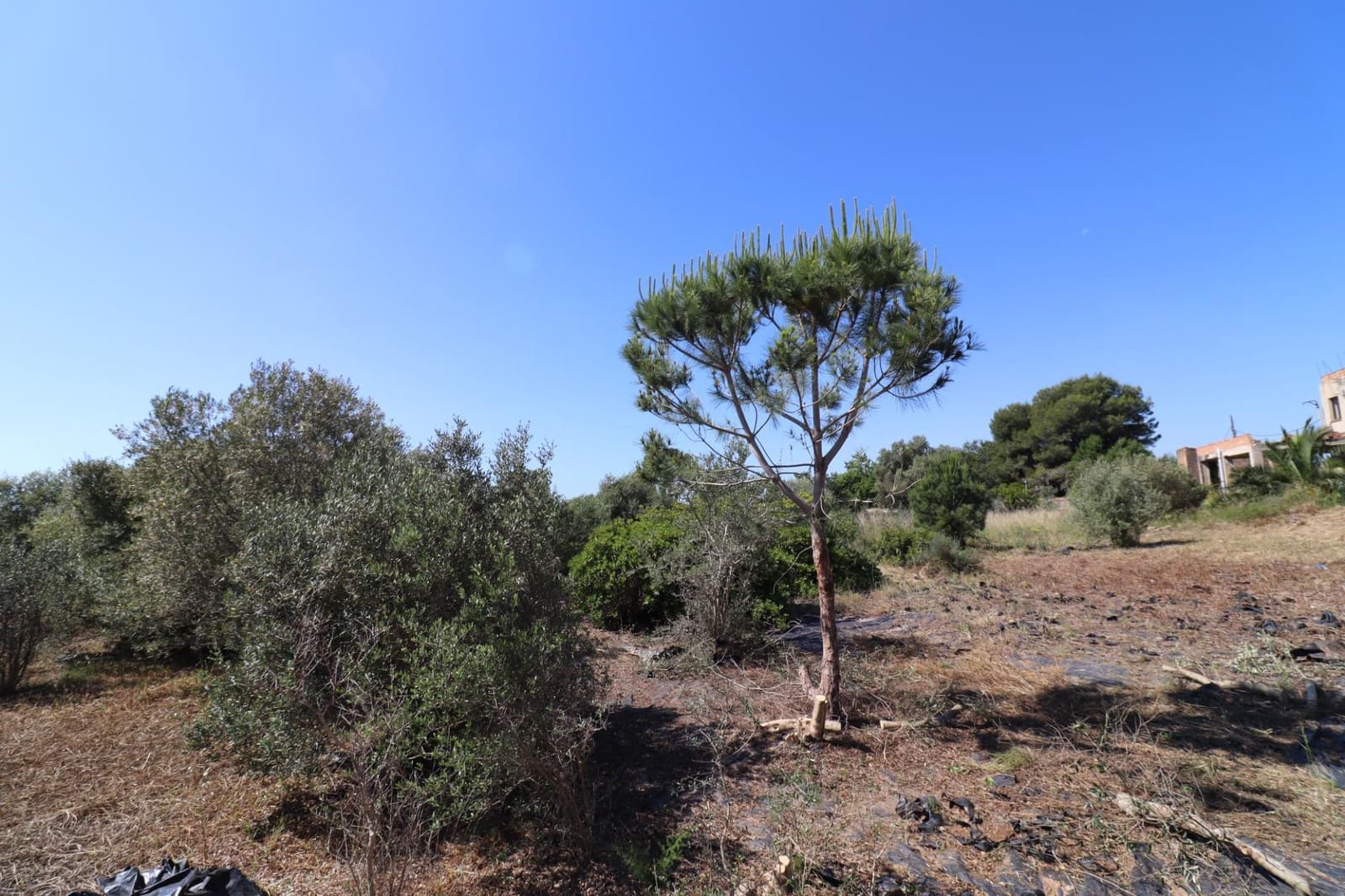 Grunde uden byggetilladelser til salg i Les Cases d'Alcanar - € 148.500 (Ref: 9001626)