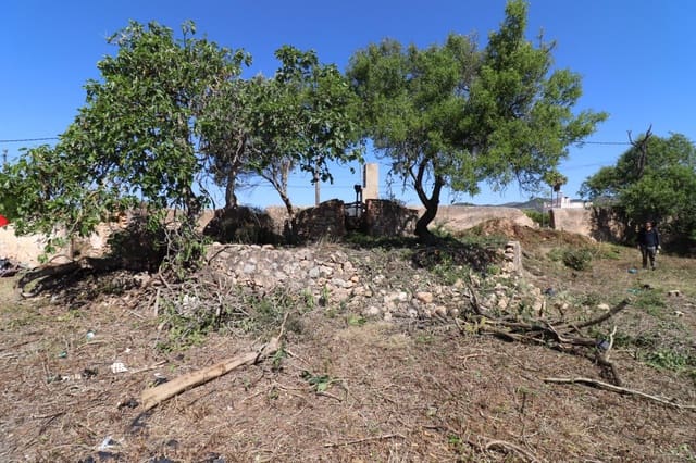 Undeveloped Land for sale in Les Cases d'Alcanar, Alcanar - € 148,500 (Ref: 9001626)