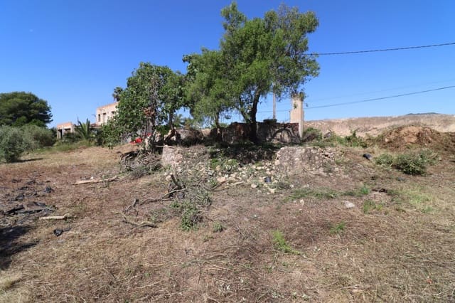 Undeveloped Land for sale in Les Cases d'Alcanar, Alcanar - € 148,500 (Ref: 9001626)