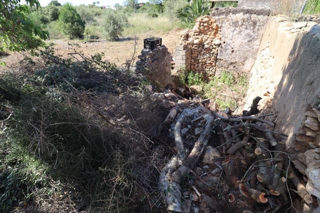 Undeveloped Land for sale in Les Cases d'Alcanar, Alcanar - € 148,500 (Ref: 9001626)