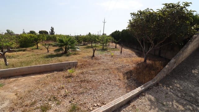 Undeveloped Land for sale in Alcanar - € 165,000 (Ref: 9075070)