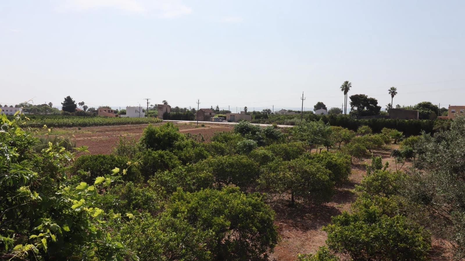 Grond te koop in Alcanar - € 165.000 (Ref: 9075070)