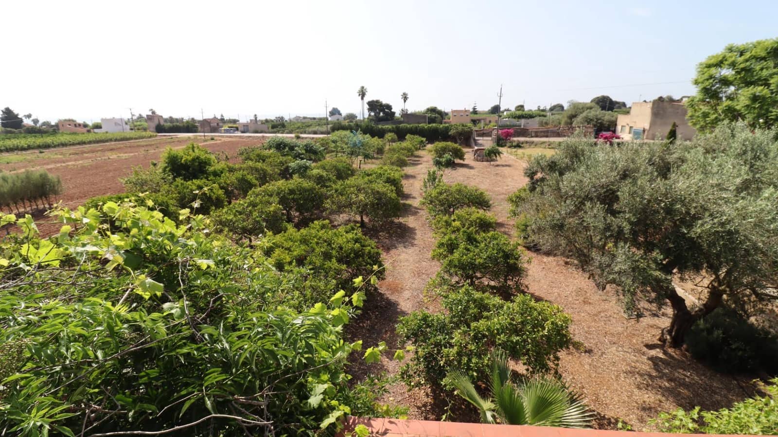 Grond te koop in Alcanar - € 165.000 (Ref: 9075070)