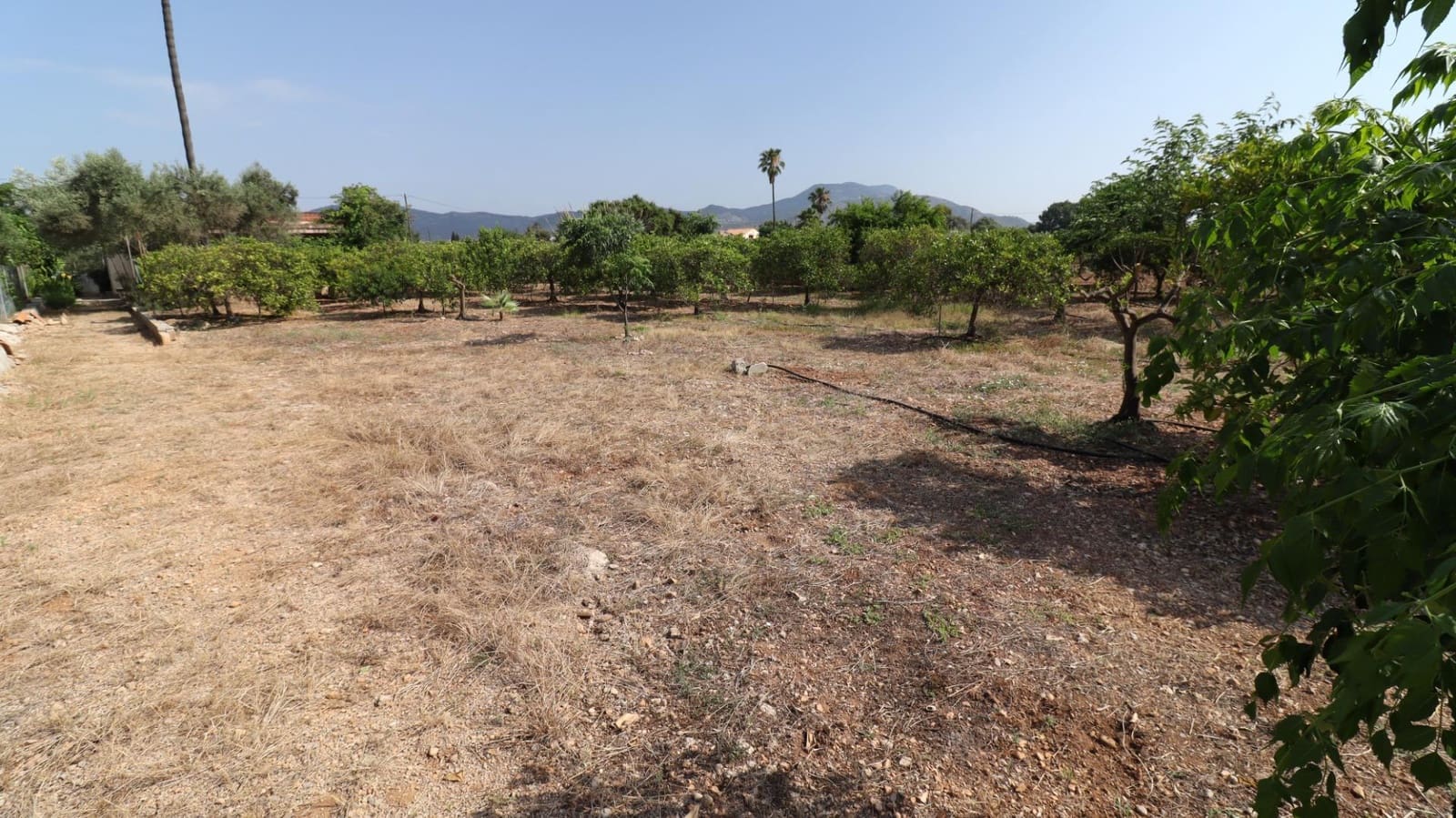 Grond te koop in Alcanar - € 165.000 (Ref: 9075070)