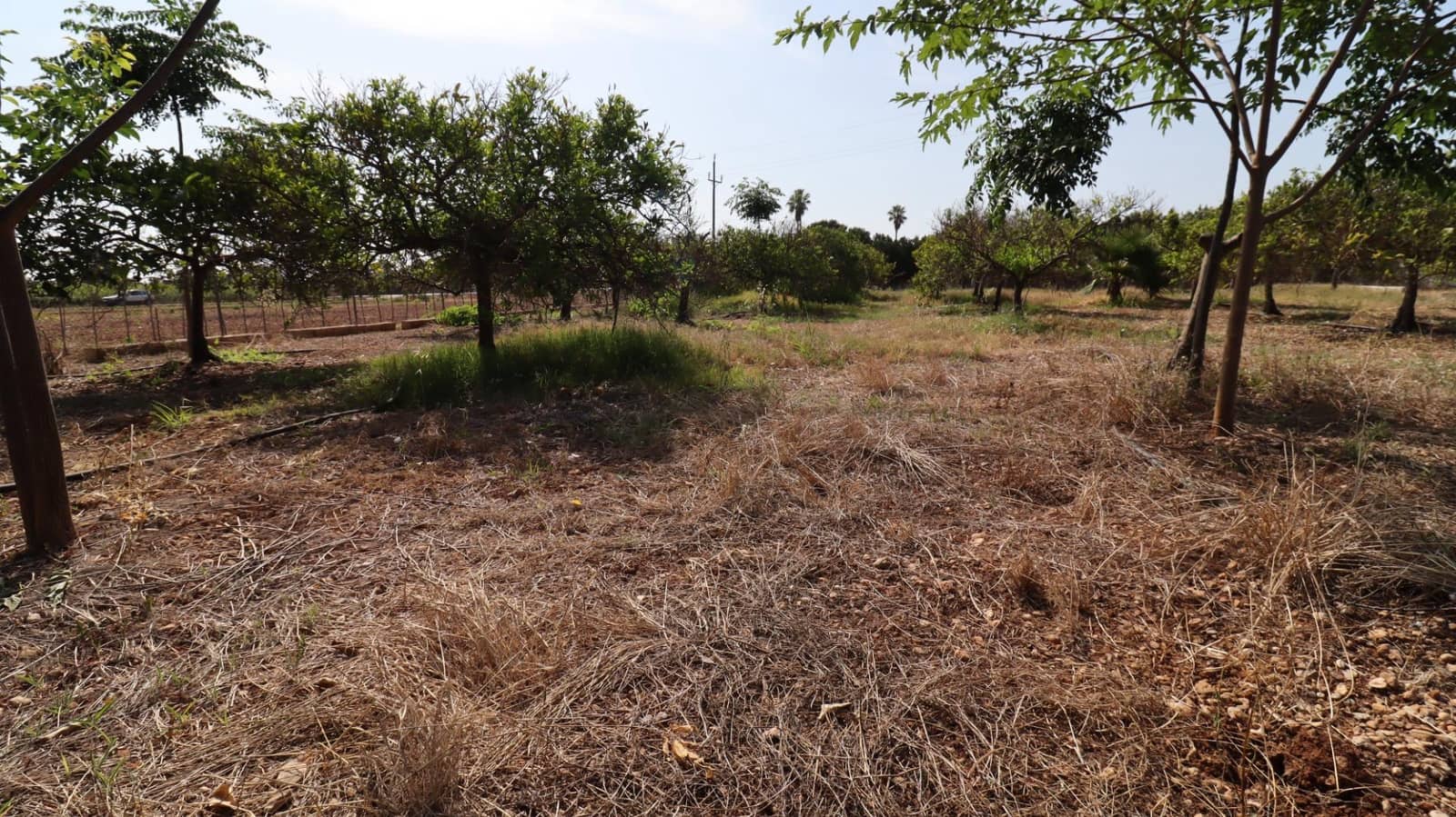 Grond te koop in Alcanar - € 165.000 (Ref: 9075070)