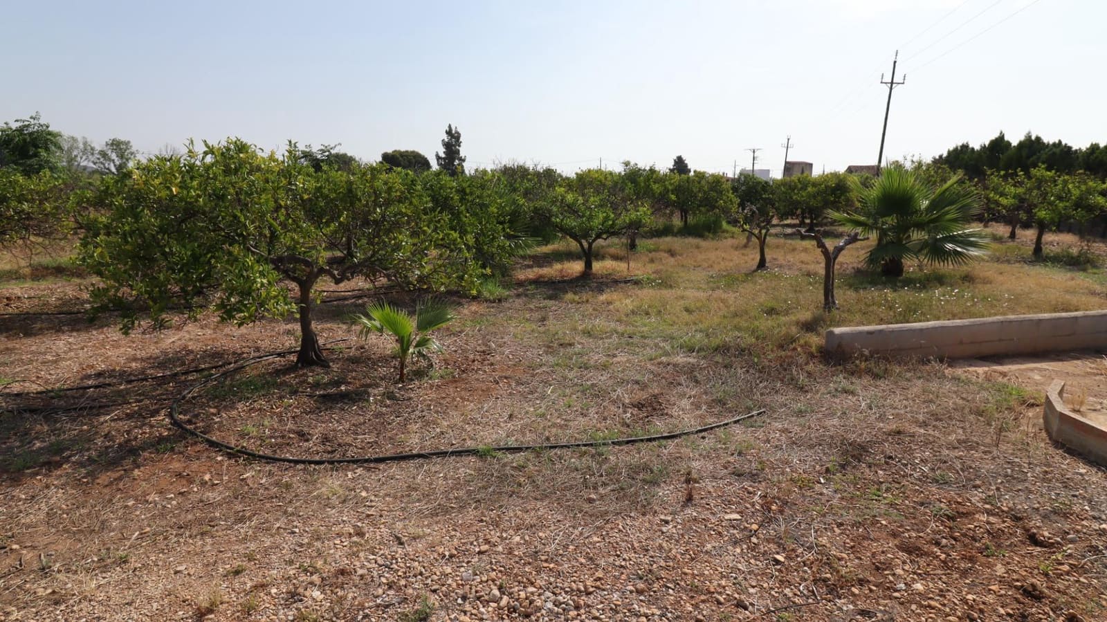 Grond te koop in Alcanar - € 165.000 (Ref: 9075070)