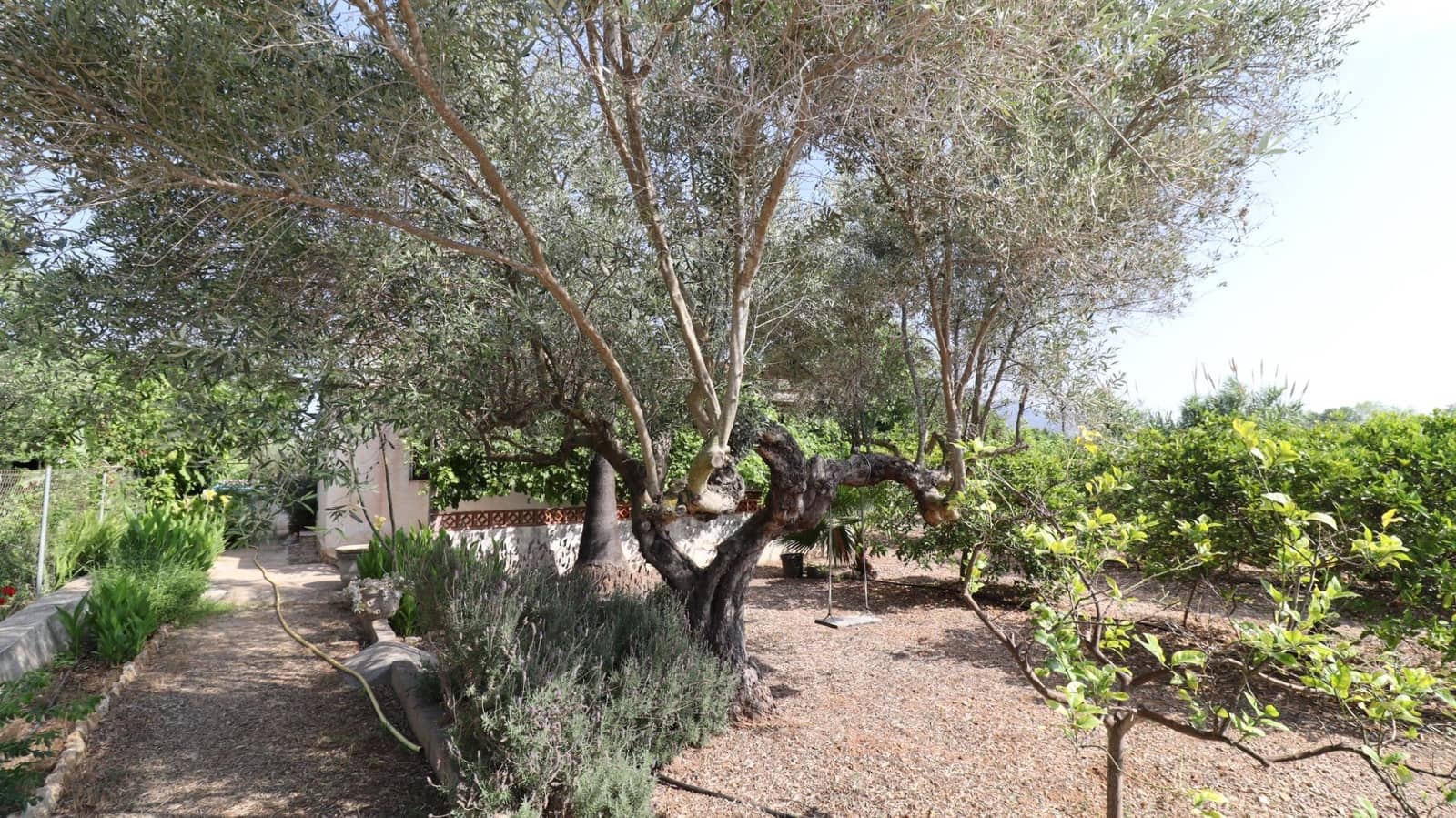 Grond te koop in Alcanar - € 165.000 (Ref: 9075070)