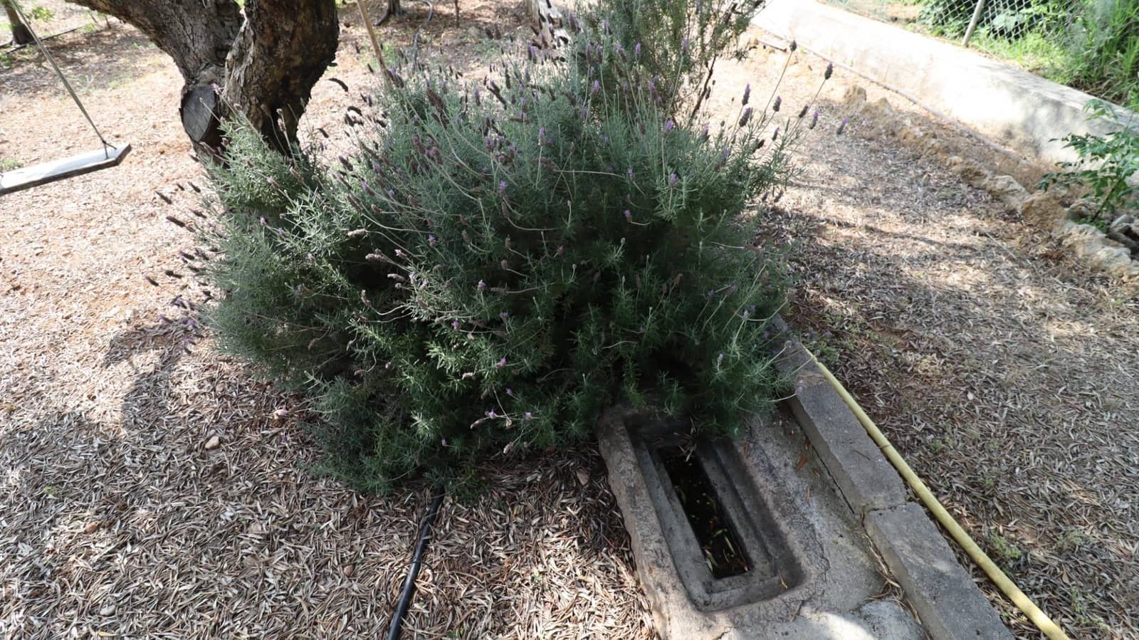 Grond te koop in Alcanar - € 165.000 (Ref: 9075070)