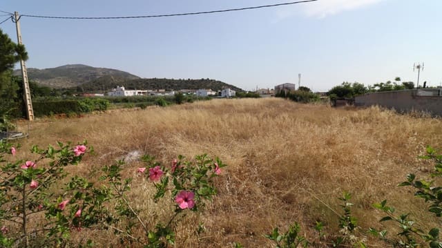 Terrain à Bâtir à vendre à Alcanar - 100 000 € (Ref: 9075072)