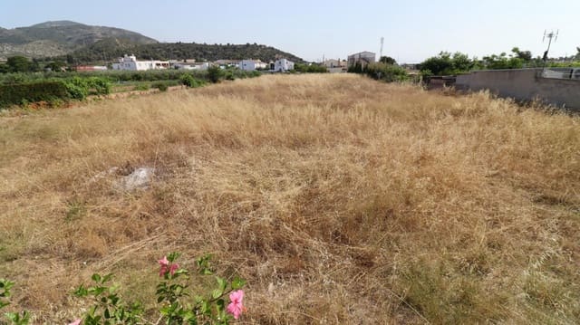 Terrain à Bâtir à vendre à Alcanar - 100 000 € (Ref: 9075072)