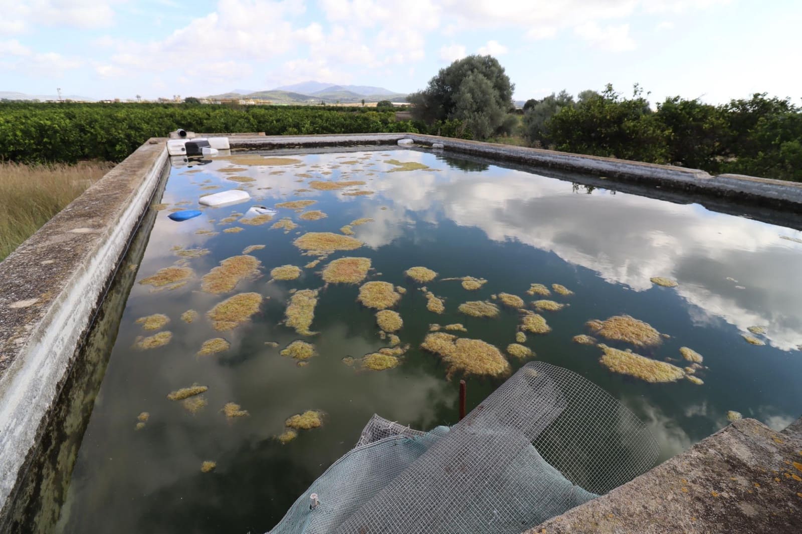 Rakentamaton maa myytävänä paikassa Vinaros - 39 000 € (Ref: 9317849)