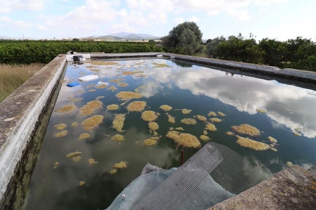 Grunde uden byggetilladelser til salg i Vinaròs - € 39.000 (Ref: 9317849)