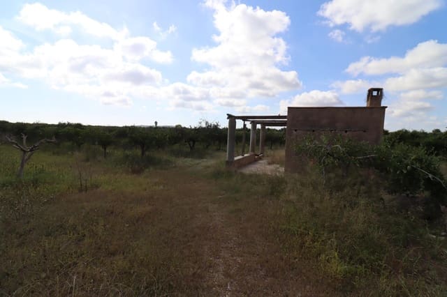 Grunde uden byggetilladelser til salg i Vinaròs - € 39.000 (Ref: 9317849)