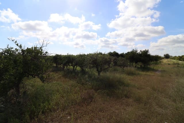 Grunde uden byggetilladelser til salg i Vinaròs - € 39.000 (Ref: 9317849)