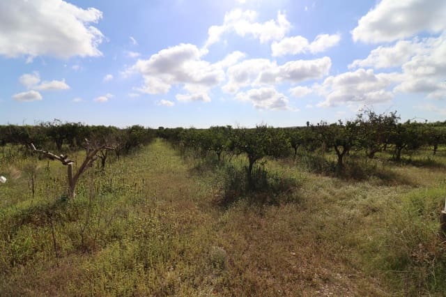 Grunde uden byggetilladelser til salg i Vinaròs - € 39.000 (Ref: 9317849)