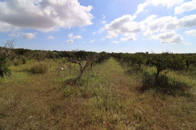 Grunde uden byggetilladelser til salg i Vinaròs - € 39.000 (Ref: 9317849)