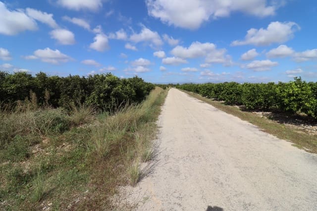 Grunde uden byggetilladelser til salg i Vinaròs - € 39.000 (Ref: 9317849)