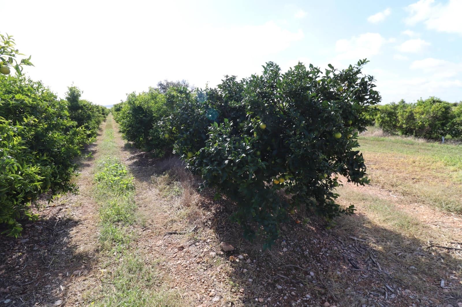 Grunde uden byggetilladelser til salg i Vinaros - € 27.000 (Ref: 9321898)