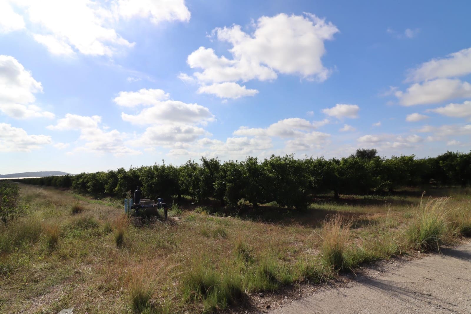 Grunde uden byggetilladelser til salg i Vinaros - € 27.000 (Ref: 9321898)