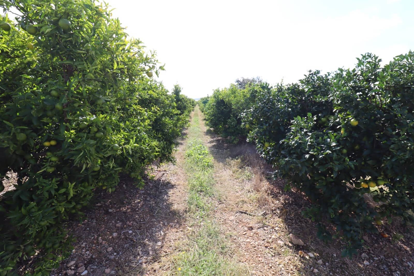 Grunde uden byggetilladelser til salg i Vinaros - € 27.000 (Ref: 9321898)