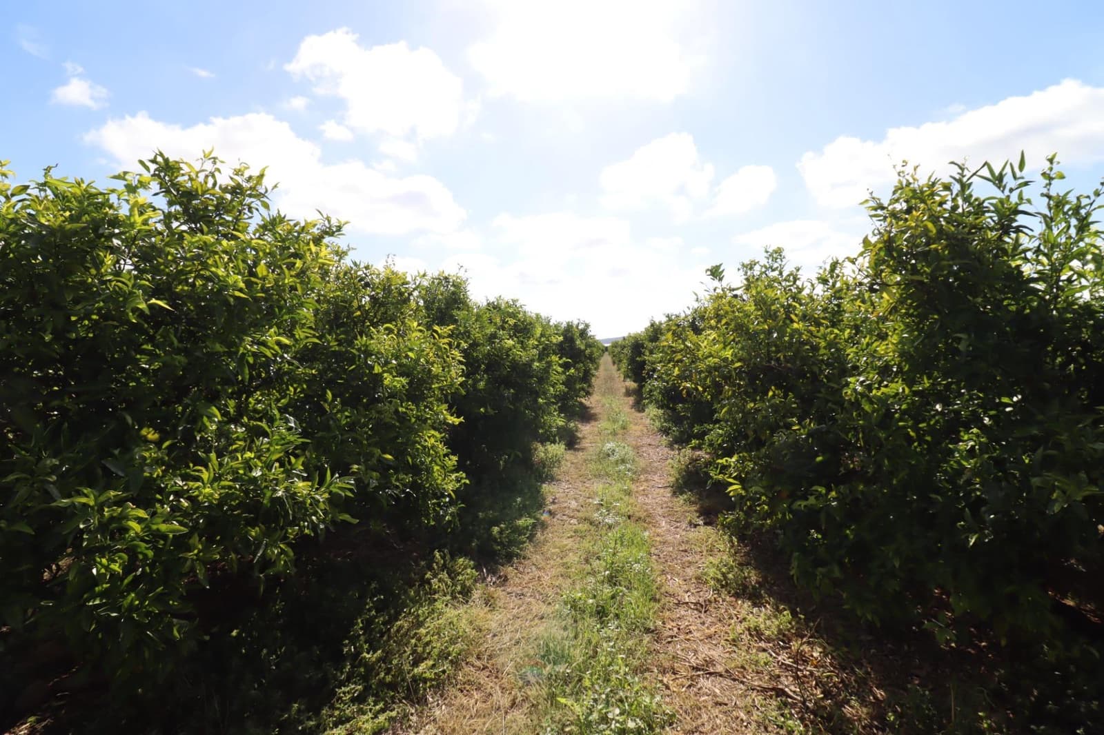 Grunde uden byggetilladelser til salg i Vinaros - € 27.000 (Ref: 9321898)