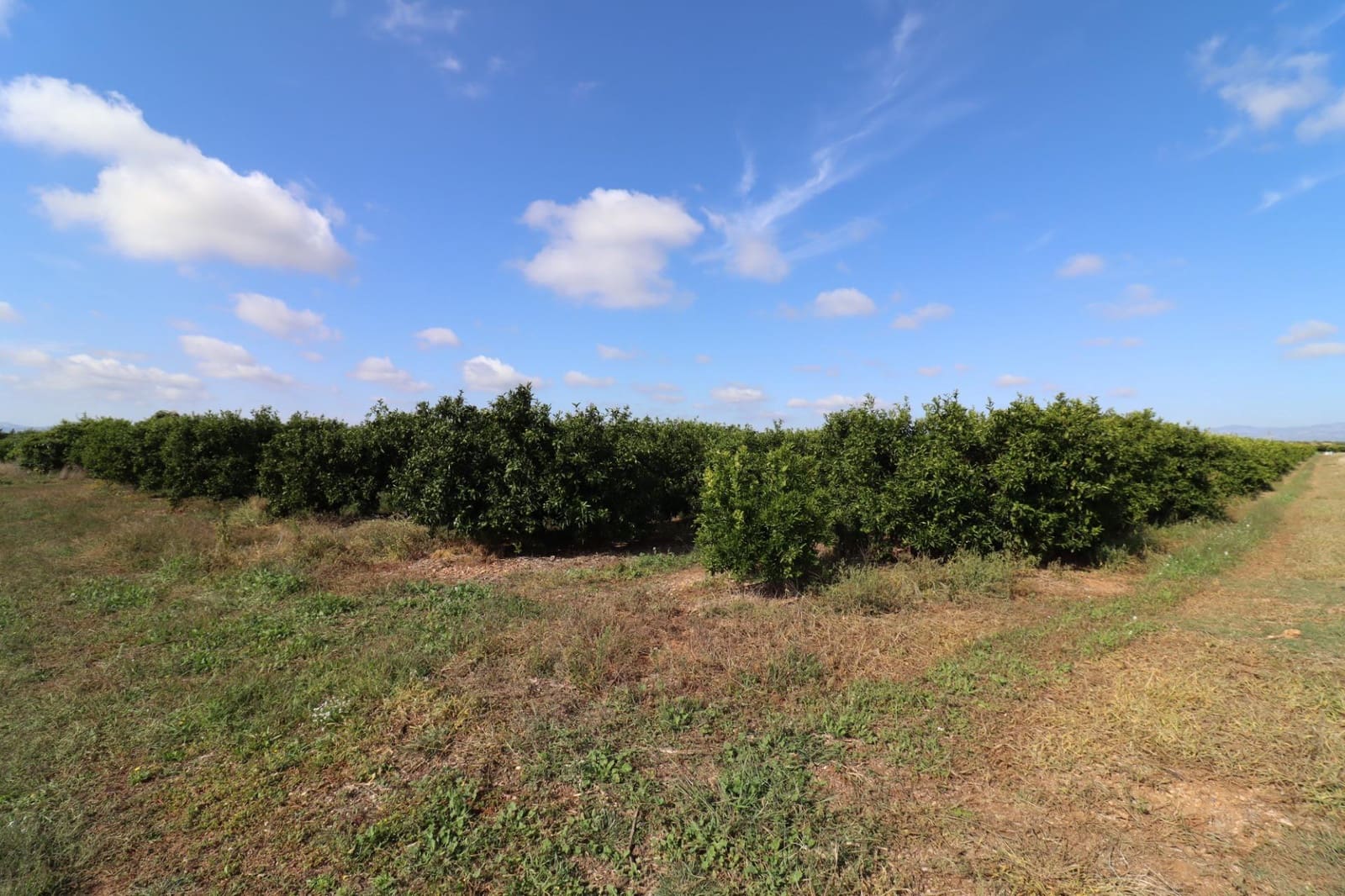 Grunde uden byggetilladelser til salg i Vinaros - € 27.000 (Ref: 9321898)