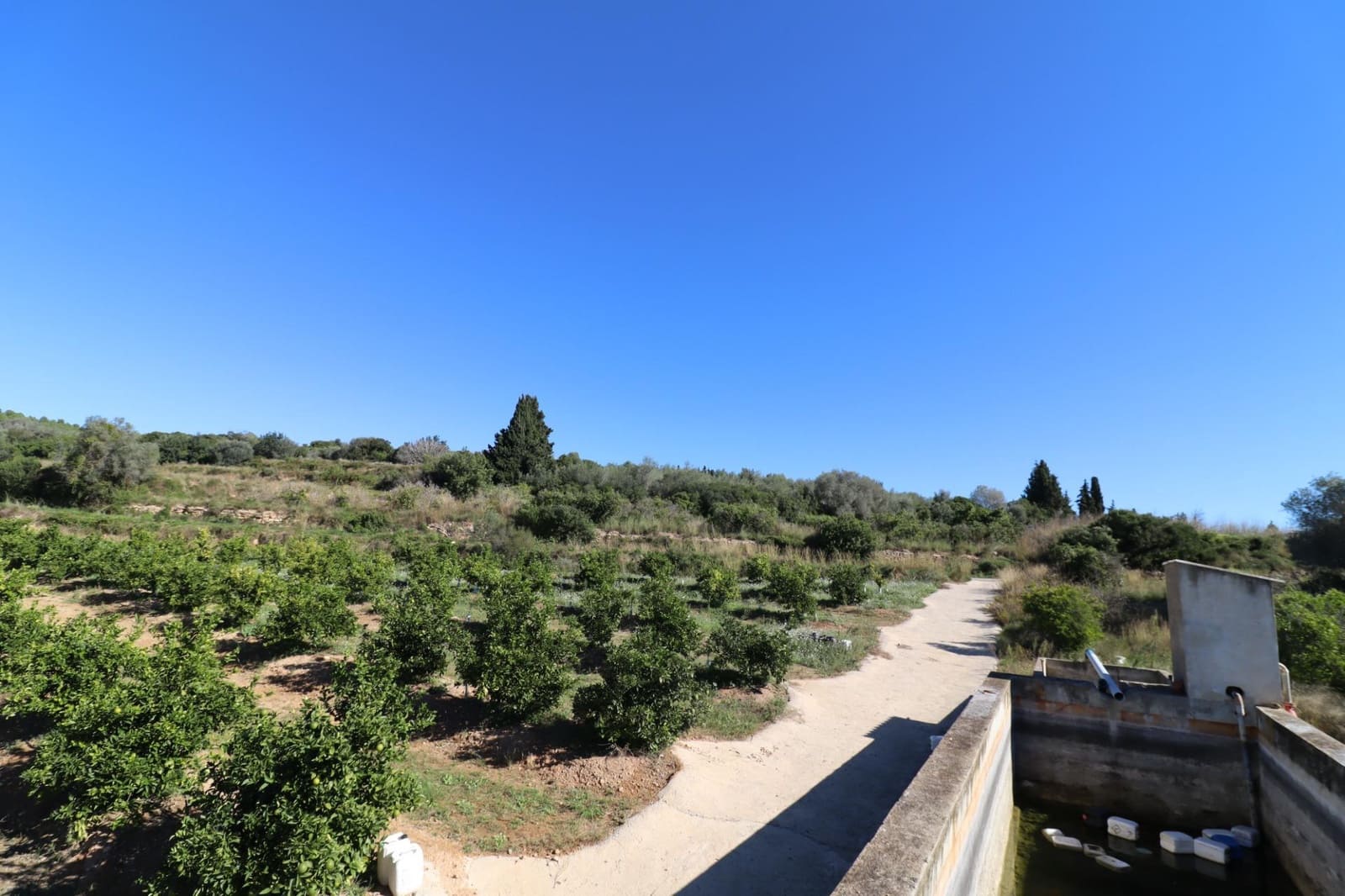 Rakentamaton maa myytävänä paikassa Ulldecona - 36 000 € (Ref: 9362633)