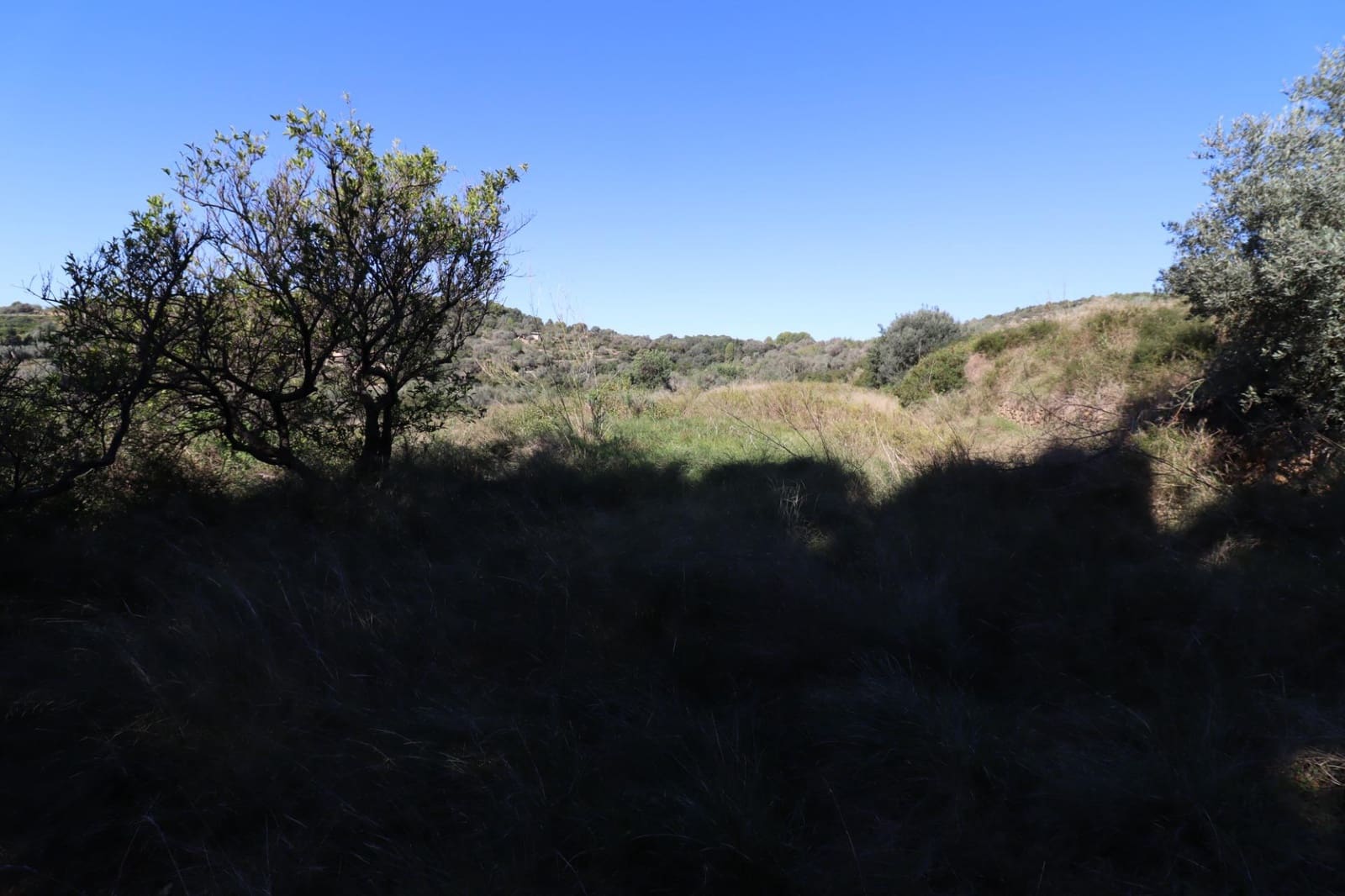 Rakentamaton maa myytävänä paikassa Ulldecona - 36 000 € (Ref: 9362633)