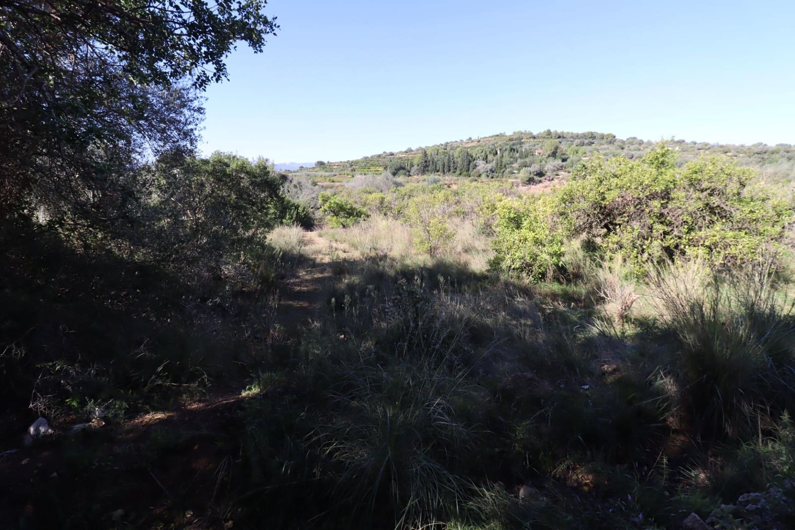 Rakentamaton maa myytävänä paikassa Ulldecona - 36 000 € (Ref: 9362633)